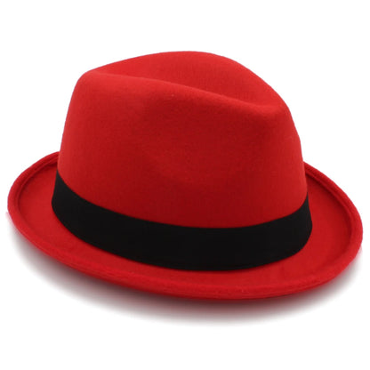 Trilby Fedora Wool Hat – Classic Style With Feather Accent